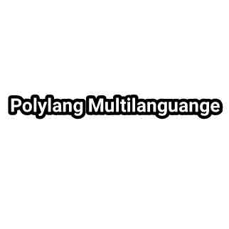 plugin multibahass polylang